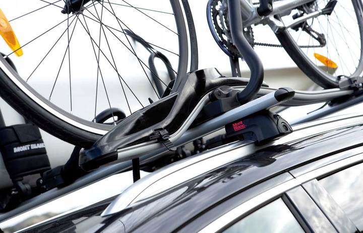 Mont Blanc Discovery